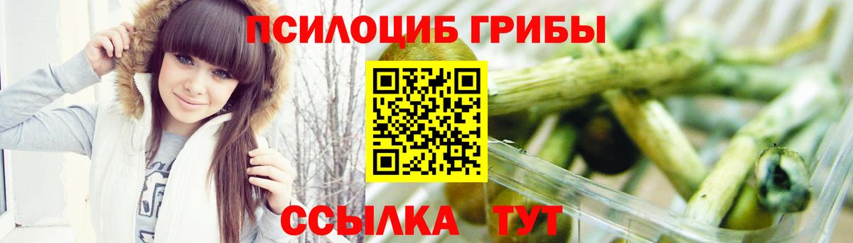 Мелеуз  Псилоцибиновые грибы GOLDEN TEACHER  Галлюциногенные грибы Psilocybine cubensis  Вход с VPN 